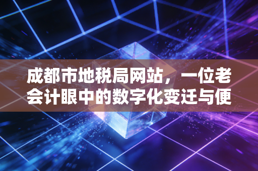 成都市地税局网站,一位老会计眼中的数字化变迁与便民服务实录