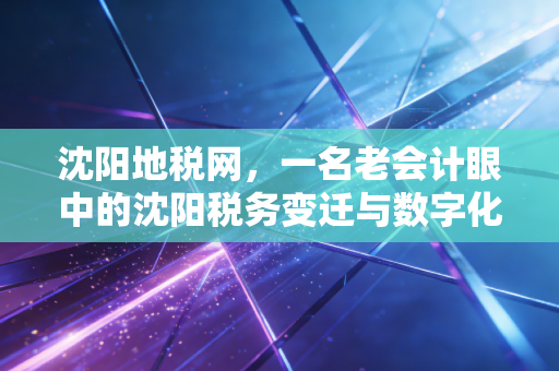 沈阳地税网，一名老会计眼中的沈阳税务变迁与数字化办税指南