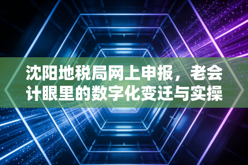 沈阳地税局网上申报，老会计眼里的数字化变迁与实操避坑指南