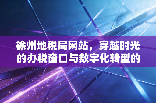 徐州地税局网站，穿越时光的办税窗口与数字化转型的深度思考