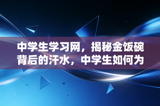 中学生学习网,揭秘金饭碗背后的汗水,中学生如何为未来财会之路蓄力?