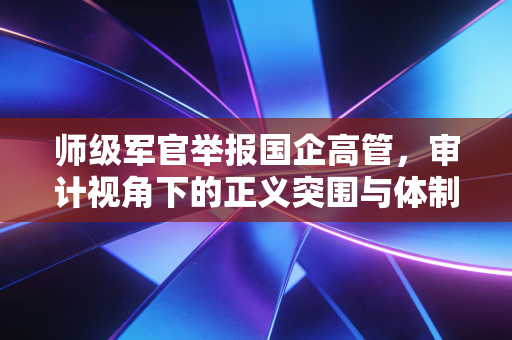 师级军官举报国企高管,审计视角下的正义突围与体制反思