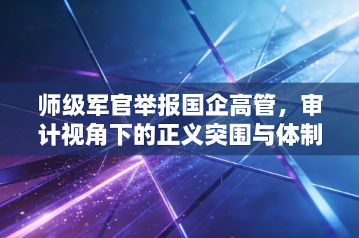 详细阅读:师级军官举报国企高管,审计视角下的正义突围与体制反思 师级军官举报国企高管,审计视角下的正义突围与体制反思