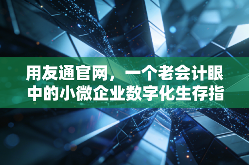 用友通官网，一个老会计眼中的小微企业数字化生存指南