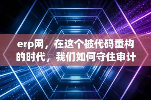 erp网，在这个被代码重构的时代，我们如何守住审计的底线？