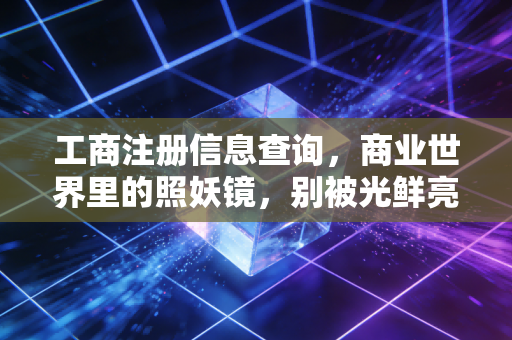 工商注册信息查询，商业世界里的照妖镜，别被光鲜亮丽的宣传语骗了