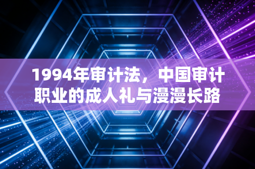 1994年审计法,中国审计职业的成人礼与漫漫长路