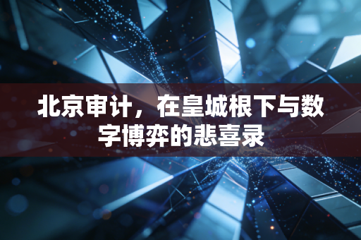 详细阅读:北京审计,在皇城根下与数字博弈的悲喜录 北京审计,在皇城根下与数字博弈的悲喜录