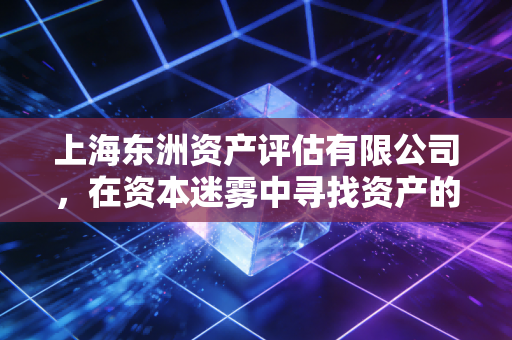 上海东洲资产评估有限公司,在资本迷雾中寻找资产的真实价格——一名注会眼中的价值解码