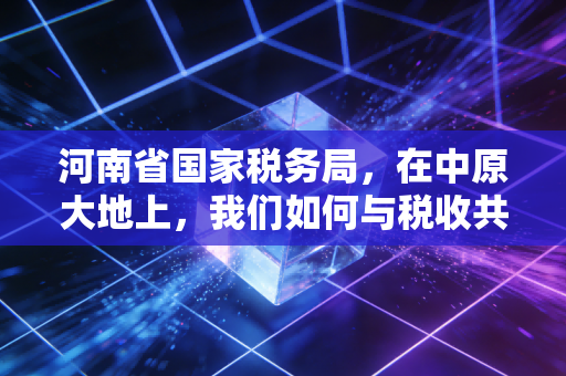 河南省国家税务局，在中原大地上，我们如何与税收共舞——一名注册会计师的观察与思考