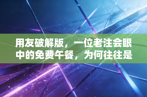 用友破解版，一位老注会眼中的免费午餐，为何往往是职业生涯的剧毒？