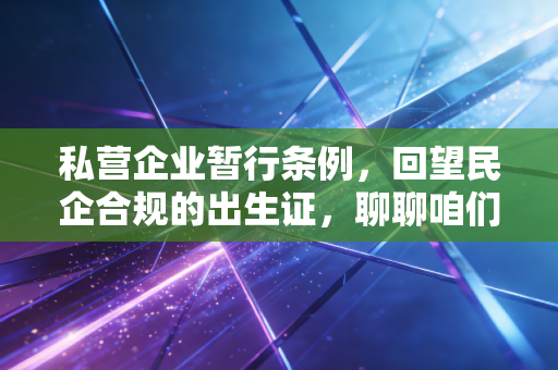 私营企业暂行条例，回望民企合规的出生证，聊聊咱们审计人的那些心里话