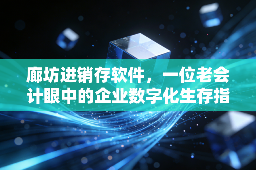 廊坊进销存软件，一位老会计眼中的企业数字化生存指南