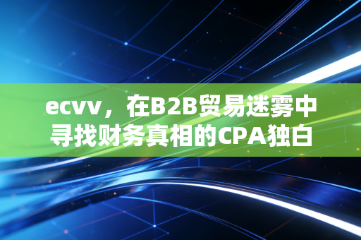ecvv,在B2B贸易迷雾中寻找财务真相的CPA独白