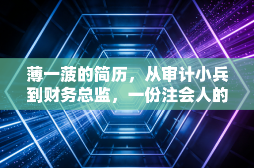 薄一菠的简历,从审计小兵到财务总监,一份注会人的进阶样本
