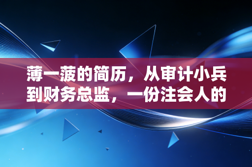 薄一菠的简历,从审计小兵到财务总监,一份注会人的进阶样本