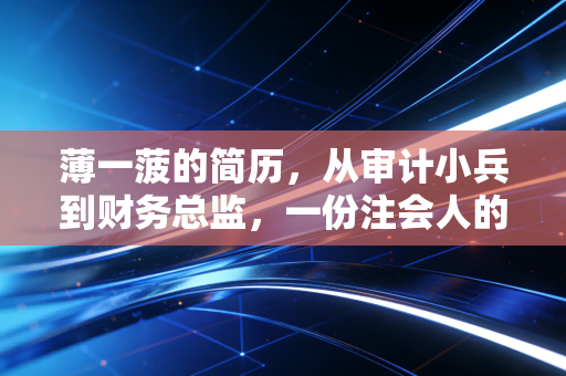 薄一菠的简历，从审计小兵到财务总监，一份注会人的进阶样本