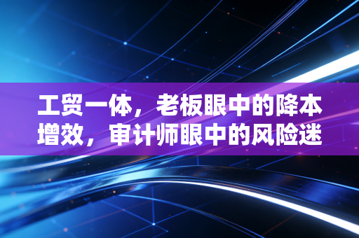 工贸一体,老板眼中的降本增效,审计师眼中的风险迷宫