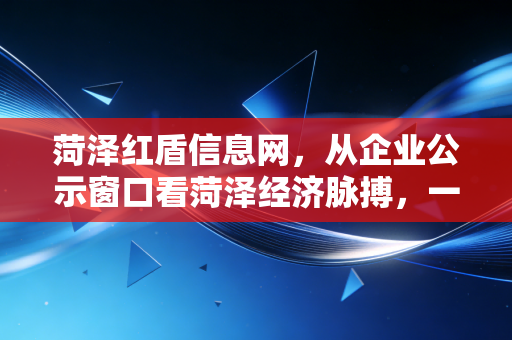 菏泽红盾信息网，从企业公示窗口看菏泽经济脉搏，一位注册会计师的深度观察