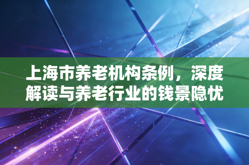 上海市养老机构条例,深度解读与养老行业的钱景隐忧