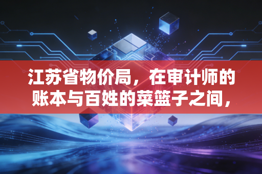 江苏省物价局,在审计师的账本与百姓的菜篮子之间,寻找那个平衡点