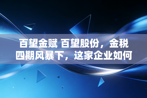 百望金赋 百望股份,金税四期风暴下,这家企业如何重塑财务人的安全感?