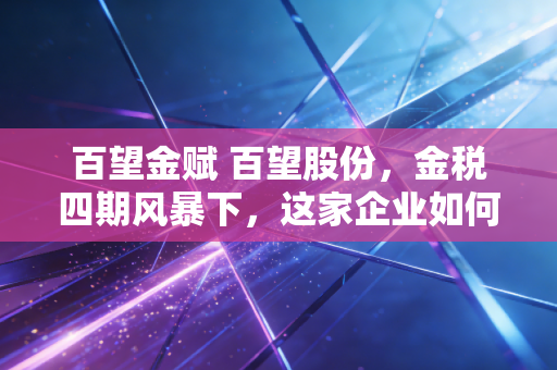 百望金赋 百望股份,金税四期风暴下,这家企业如何重塑财务人的安全感?