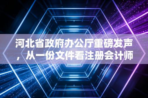 河北省政府办公厅重磅发声,从一份文件看注册会计师的职业使命与未来