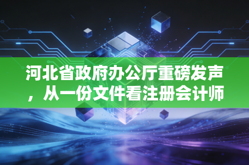 河北省政府办公厅重磅发声,从一份文件看注册会计师的职业使命与未来