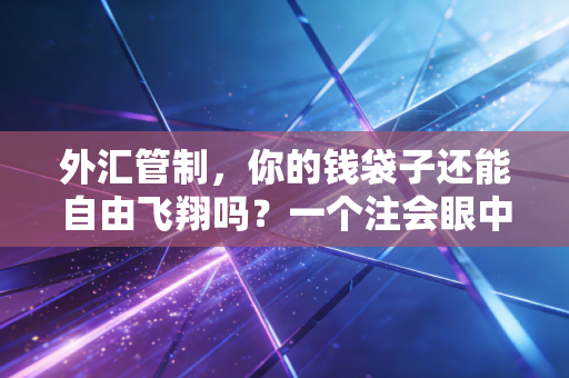 外汇管制,你的钱袋子还能自由飞翔吗?一个注会眼中的合规出海之路