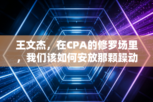王文杰,在CPA的修罗场里,我们该如何安放那颗躁动的初心?