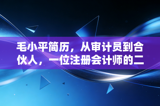 毛小平简历,从审计员到合伙人,一位注册会计师的二十载沉浮录