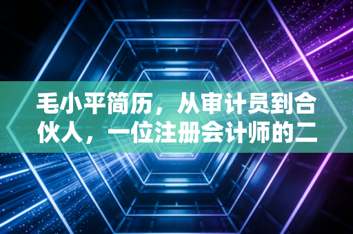 毛小平简历,从审计员到合伙人,一位注册会计师的二十载沉浮录
