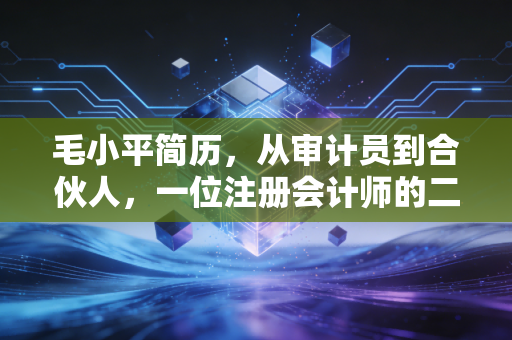 毛小平简历，从审计员到合伙人，一位注册会计师的二十载沉浮录