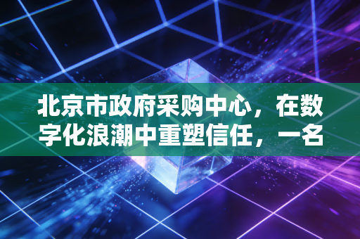 北京市政府采购中心，在数字化浪潮中重塑信任，一名注会眼中的阳光交易样本