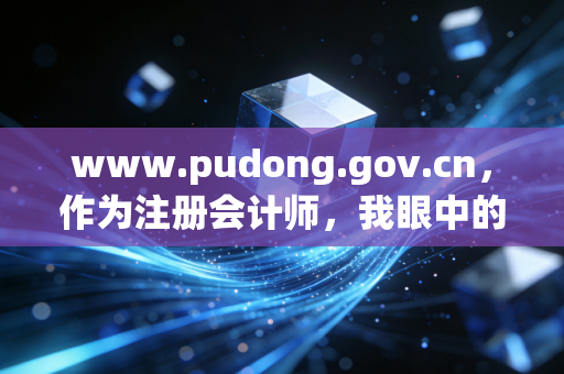 www.pudong.gov.cn,作为注册会计师,我眼中的浦东政策红利与企业生存指南