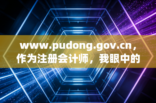 www.pudong.gov.cn，作为注册会计师，我眼中的浦东政策红利与企业生存指南
