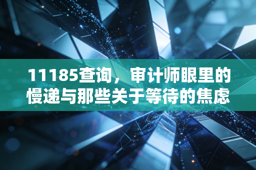 11185查询，审计师眼里的慢递与那些关于等待的焦虑时刻