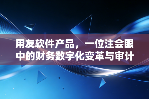 用友软件产品,一位注会眼中的财务数字化变革与审计实战