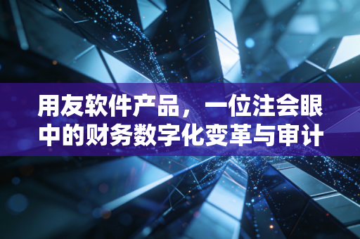 用友软件产品，一位注会眼中的财务数字化变革与审计实战