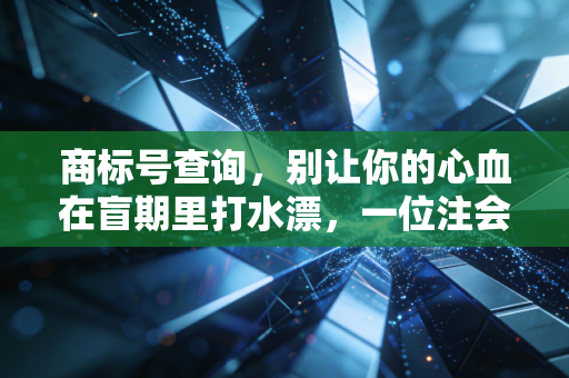 商标号查询,别让你的心血在盲期里打水漂,一位注会眼中的品牌护城河