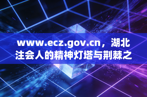 www.ecz.gov.cn,湖北注会人的精神灯塔与荆棘之路