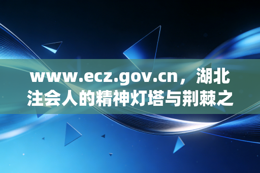 www.ecz.gov.cn,湖北注会人的精神灯塔与荆棘之路