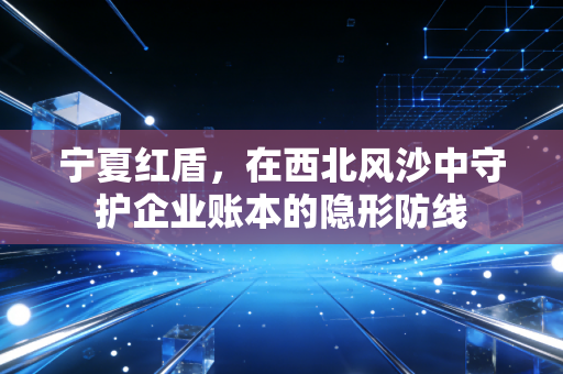 宁夏红盾,在西北风沙中守护企业账本的隐形防线