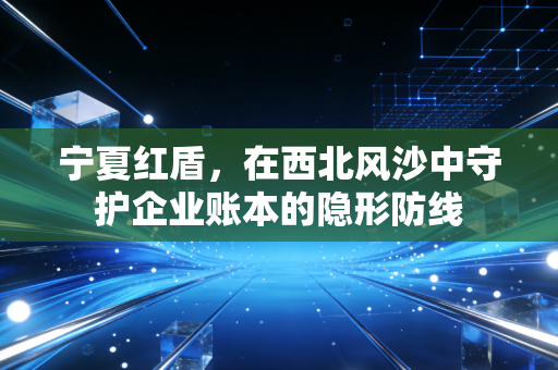 宁夏红盾，在西北风沙中守护企业账本的隐形防线