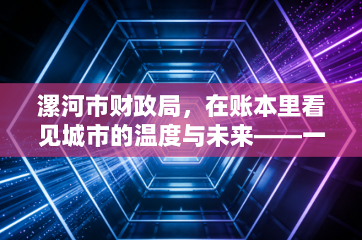 漯河市财政局,在账本里看见城市的温度与未来——一名注会眼中的地方财政变迁