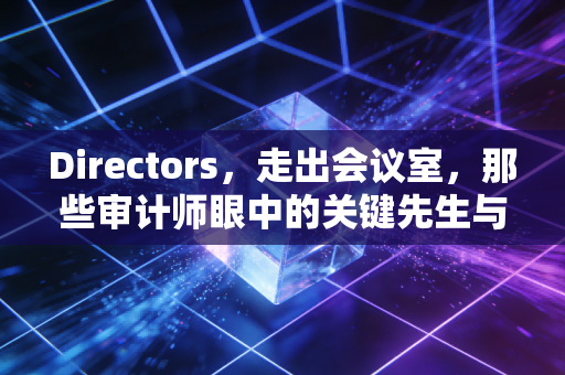 Directors,走出会议室,那些审计师眼中的关键先生与背锅侠
