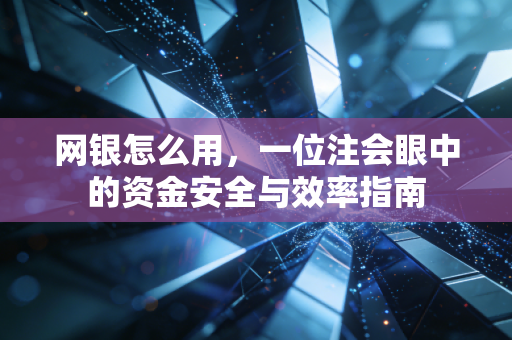 网银怎么用,一位注会眼中的资金安全与效率指南