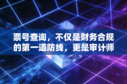 票号查询,不仅是财务合规的第一道防线,更是审计师的照妖镜
