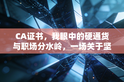 CA证书,我眼中的硬通货与职场分水岭,一场关于坚持与蜕变的修行